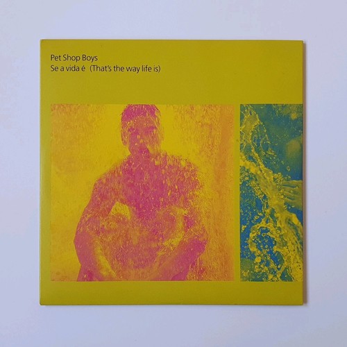 Pet shop boys see vida - pet,